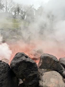 べっぷ地獄めぐりに投稿された画像（2024/3/28）