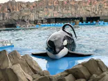 名古屋港水族館に投稿された画像（2024/3/29）