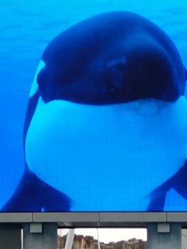 名古屋港水族館に投稿された画像（2024/3/29）