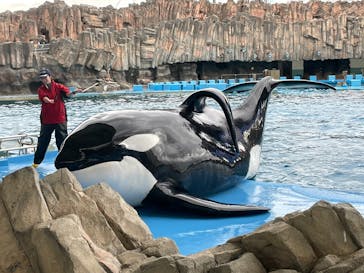名古屋港水族館に投稿された画像（2024/3/29）