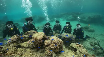 武藤潜水に投稿された画像（2024/3/29）