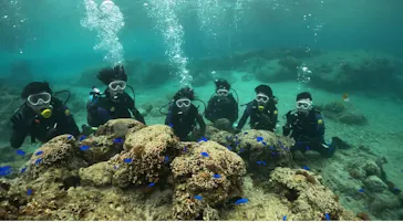 武藤潜水に投稿された画像（2024/3/29）