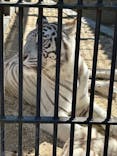 宇都宮動物園に投稿された画像（2024/3/29）