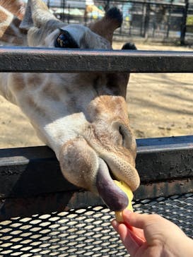 宇都宮動物園に投稿された画像（2024/3/29）