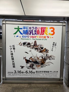 特別展「大哺乳類展３－わけてつなげて大行進」に投稿された画像（2024/3/29）