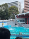 しながわ水族館に投稿された画像（2024/3/29）