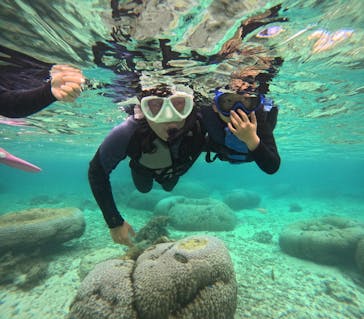 沖縄マリンサービス碧に投稿された画像（2024/3/29）