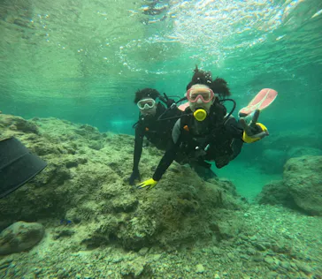 武藤潜水に投稿された画像（2024/3/29）