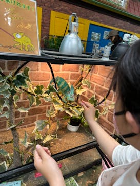 いきもの探検隊上尾に投稿された画像（2024/3/29）