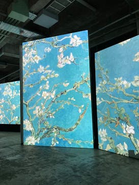 ゴッホ・アライブに投稿された画像（2024/3/29）