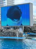 名古屋港水族館に投稿された画像（2024/3/29）