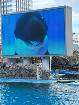 名古屋港水族館に投稿された画像（2024/3/29）