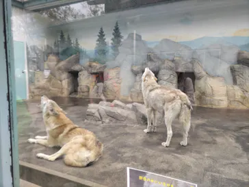 天王寺動物園に投稿された画像（2024/3/29）