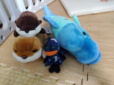 環境水族館アクアマリンふくしまに投稿された画像（2024/3/29）