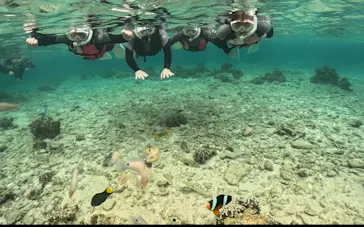 武藤潜水に投稿された画像（2024/3/29）