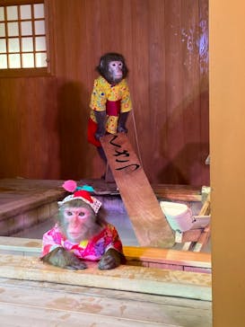 おさるの湯もみ処　おさ湯に投稿された画像（2024/3/29）