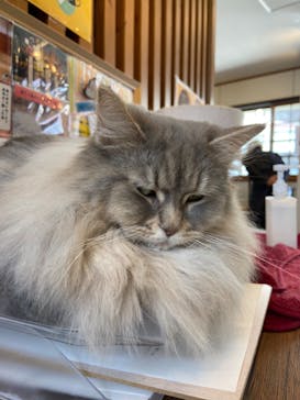 おさるの湯もみ処　おさ湯に投稿された画像（2024/3/29）