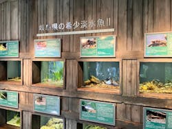 世界淡水魚園水族館　アクア・トトぎふに投稿された画像（2024/3/29）