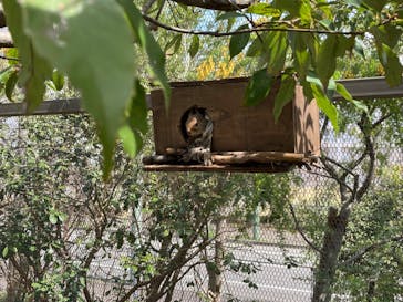 神戸どうぶつ王国に投稿された画像（2024/3/29）
