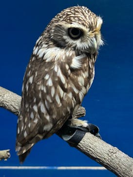 おきなわワールドに投稿された画像（2024/3/29）