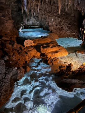 おきなわワールドに投稿された画像（2024/3/29）