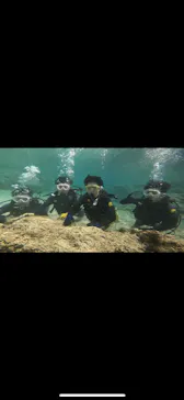 武藤潜水に投稿された画像（2024/3/29）