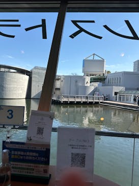 しながわ水族館に投稿された画像（2024/3/29）