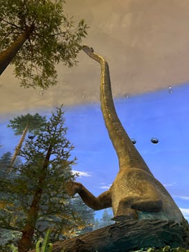 福井県立恐竜博物館に投稿された画像（2024/3/29）