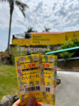 ナゴパイナップルパークに投稿された画像（2024/3/29）