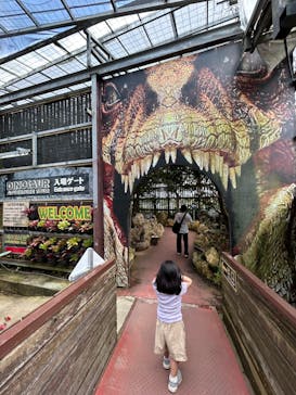 ナゴパイナップルパークに投稿された画像（2024/3/29）