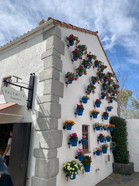 志摩スペイン村パルケエスパーニャに投稿された画像（2024/3/29）