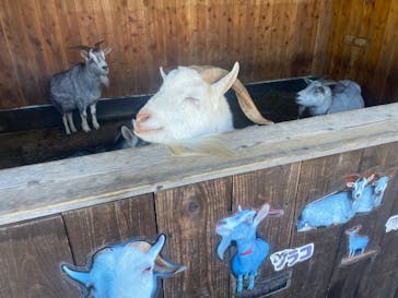 那須サファリパークに投稿された画像（2024/3/29）