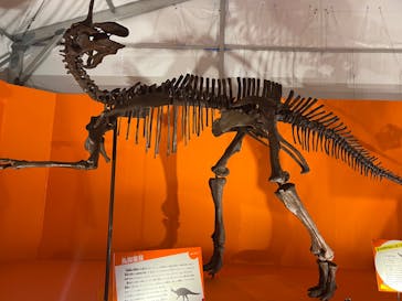 オダイバ恐竜博覧会2024 -福井から“ヤツラ”が新幹線でやってくる！-に投稿された画像（2024/3/29）