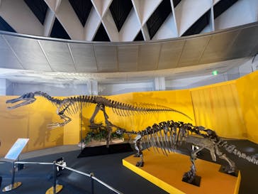 オダイバ恐竜博覧会2024 -福井から“ヤツラ”が新幹線でやってくる！-に投稿された画像（2024/3/29）