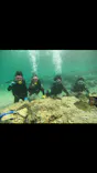 武藤潜水に投稿された画像（2024/3/29）