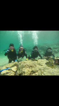 武藤潜水に投稿された画像（2024/3/29）