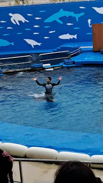 仙台うみの杜水族館に投稿された画像（2024/3/29）