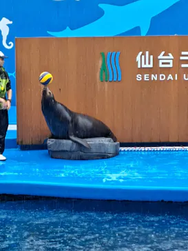 仙台うみの杜水族館に投稿された画像（2024/3/29）