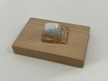 新潟県立自然科学館に投稿された画像（2024/3/29）