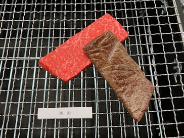 新潟県立自然科学館に投稿された画像（2024/3/29）