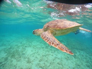 isola blue（イゾラブルー）に投稿された画像（2024/3/29）