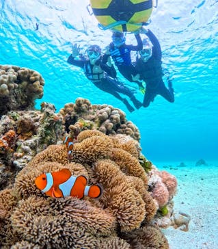 宮古島マリンショップSmileyに投稿された画像（2024/3/29）