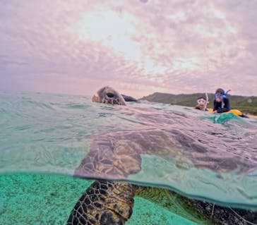 宮古島マリンショップSmileyに投稿された画像（2024/3/29）