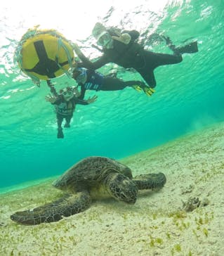 宮古島マリンショップSmileyに投稿された画像（2024/3/29）