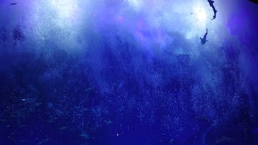 アクアワールド茨城県大洗水族館に投稿された画像（2024/3/29）