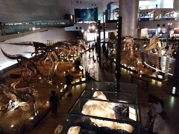 福井県立恐竜博物館に投稿された画像（2024/3/29）