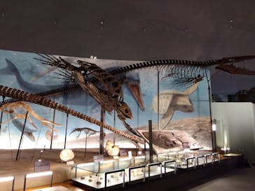 福井県立恐竜博物館に投稿された画像（2024/3/29）