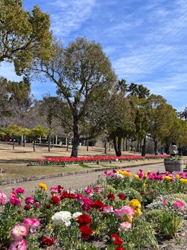 淡路ファームパーク イングランドの丘に投稿された画像（2024/3/29）