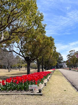 淡路ファームパーク イングランドの丘に投稿された画像（2024/3/29）