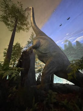 福井県立恐竜博物館に投稿された画像（2024/3/29）